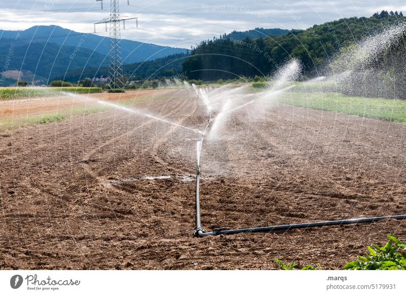 Irrigation Water Field Sprinkler system Agriculture Growth Plant Arable land Cast Machinery Drops of water Environment Landscape Nature Fresh cultivate droplet