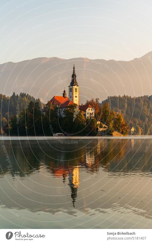 Golden Bled Lake Bled lake bled Slovenia Church Water Landscape Island Mountain Exterior shot Colour photo Nature Tourism Lakeside Vacation & Travel Reflection