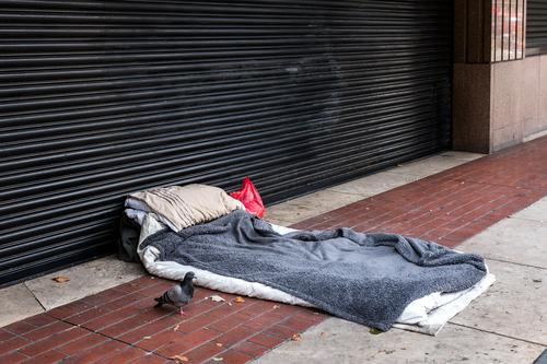 The lame dove guards the simple camp of a homeless man Pigeon Bird Bed Sleeping place Homelessness Town City Empty forsake sb./sth. Highway ramp (entrance)