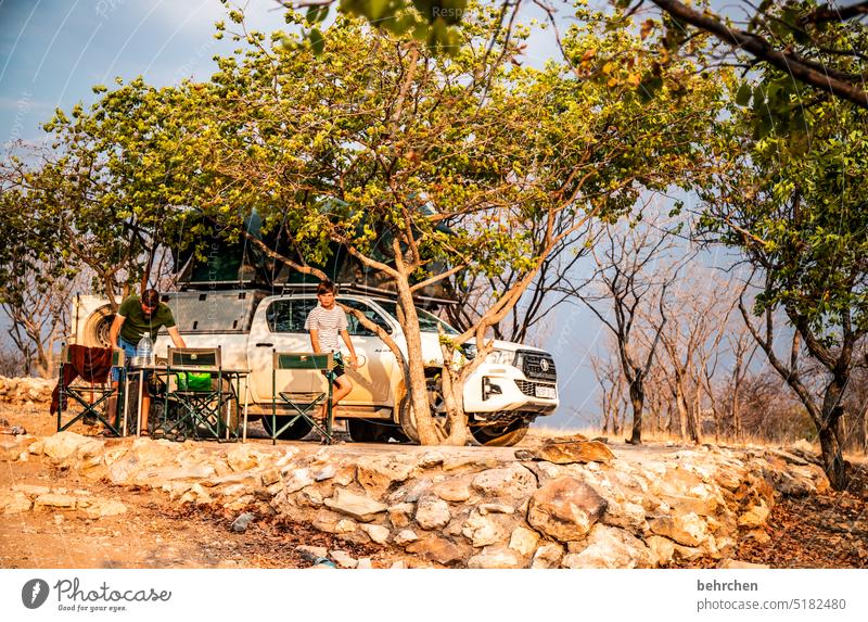 wild namibia Adventure Vacation & Travel Tree Africa Namibia travel Wanderlust jeep Tent roof tent campsite Camping site Wilderness Child Son Infancy