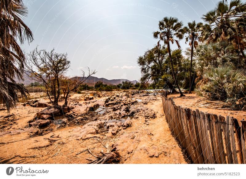 epupa if Warmth Sky especially Adventure Vacation & Travel Landscape Nature Wanderlust Namibia Africa Dry aridity Drought Climate change epupafalls Mountain