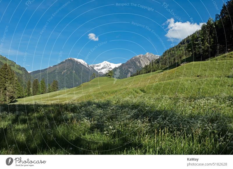 Picturesque landscape in the Alps of the hiking region Val Passiria in South Tyrol , Italy Landscape mountains Copy Space Meadow flowers Idyll idyllically