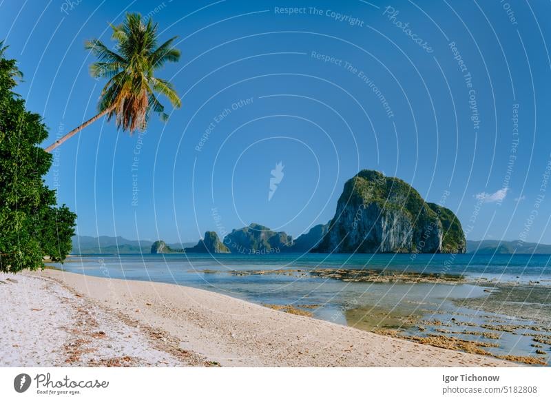 Philippines natural scenery beach at low tide, palm tree and amazing Pinagbuyutan island in background. Exotic nature sea shore in El Nido, Palawan philippines