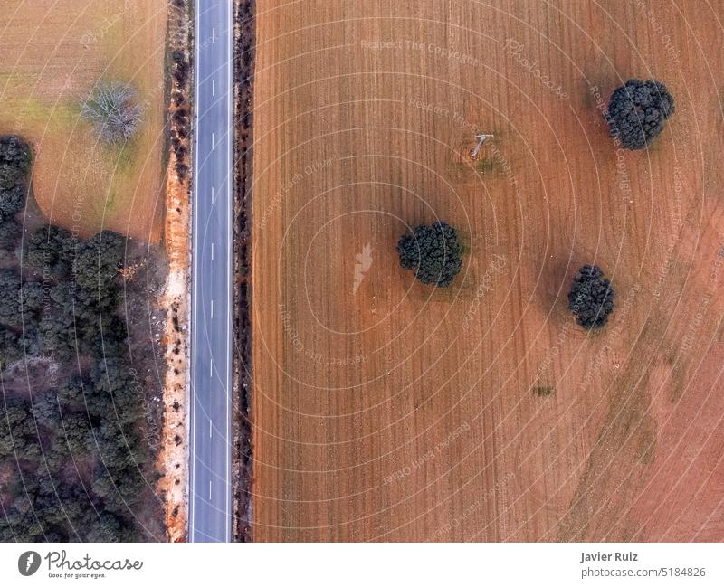 zenithal view of a straight road running between plowed fields of red earth with some holm oak trees line asphalt way drone view land path electricity post