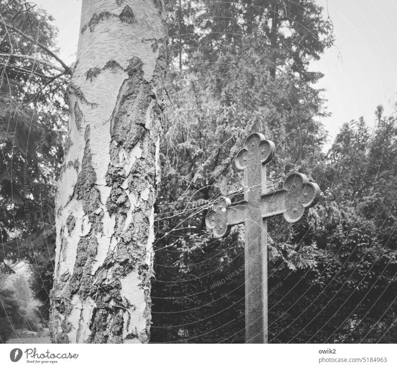 resting point Crucifix Grave Christian cross Cemetery Death Grief Exterior shot Black & white photo Goodbye Past Pain End Tomb Moody Belief Weathered pass away