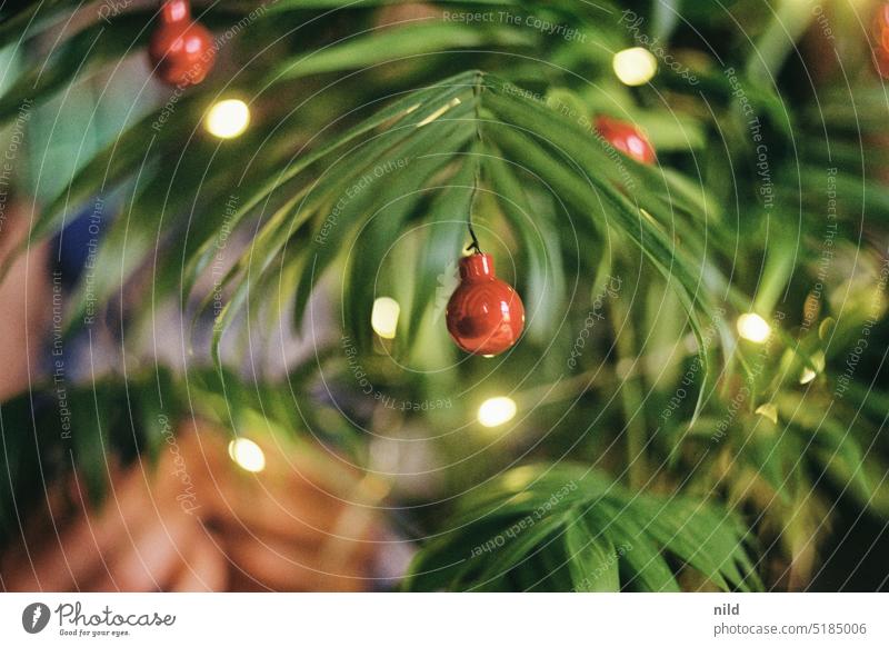 Christmas tree decorations - Christmas palm Christmas & Advent Christmas decoration decorate a tree Glitter Ball Feasts & Celebrations mountain palm Chamaedorea