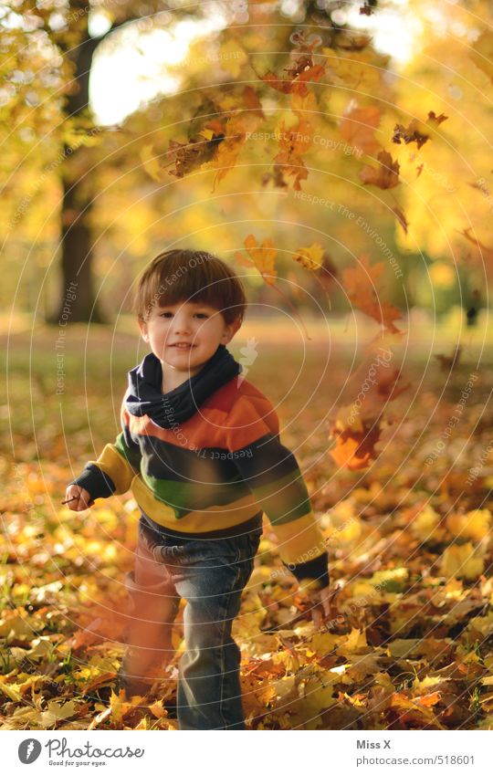To Mama Leisure and hobbies Playing Children's game Human being Toddler Infancy 1 1 - 3 years 3 - 8 years Autumn Beautiful weather Leaf Park Laughter Throw