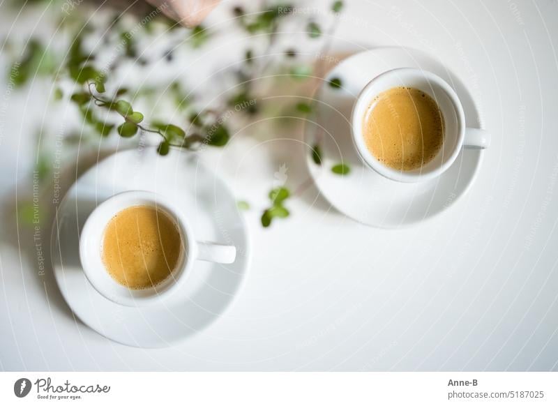 Espresso always goes, two espressos in thick porcelain cups on a white table with a fuzzy plant tendril in the picture. Italian Makinetta cultural property