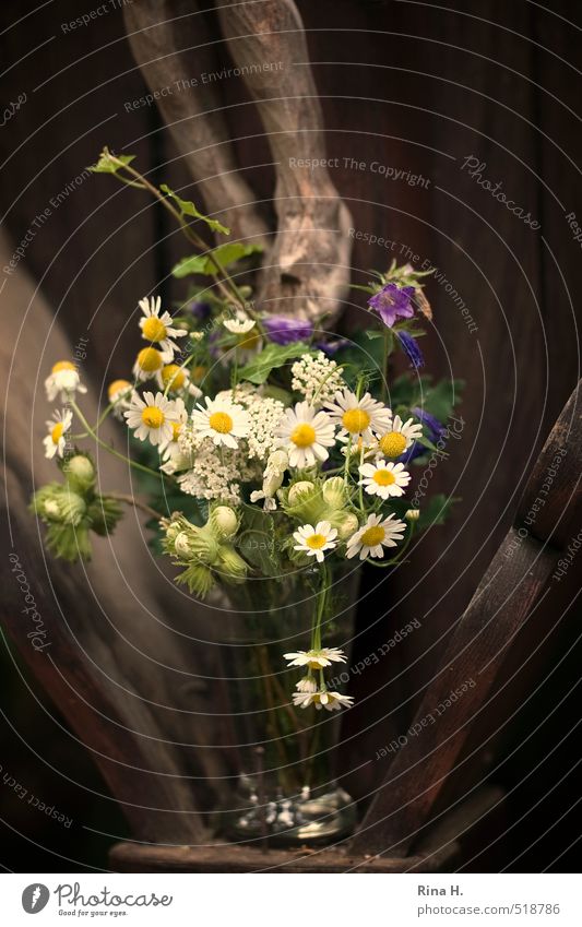 Flowers for Jesus Blossoming Authentic Goodness Hope Belief Humble Religion and faith Love Jesus Christ Gift Still Life Feet Legs Christian cross Catholicism