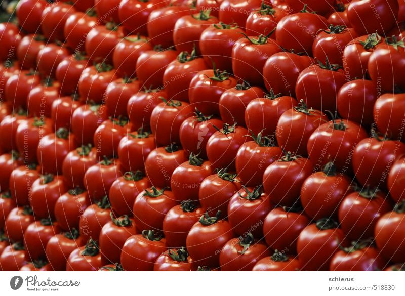 tomatoes Food Vegetable Nutrition Organic produce Vegetarian diet Healthy Healthy Eating Life Plant Agricultural crop Fresh Delicious Sweet Red Markets