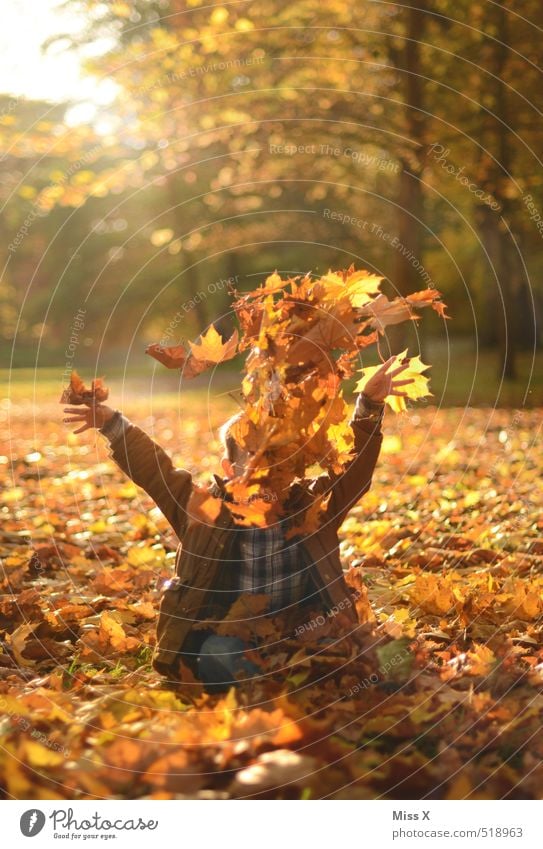 Foliage is in the air Leisure and hobbies Playing Children's game Human being 1 1 - 3 years Toddler 3 - 8 years Infancy Nature Autumn Leaf Garden Park Forest