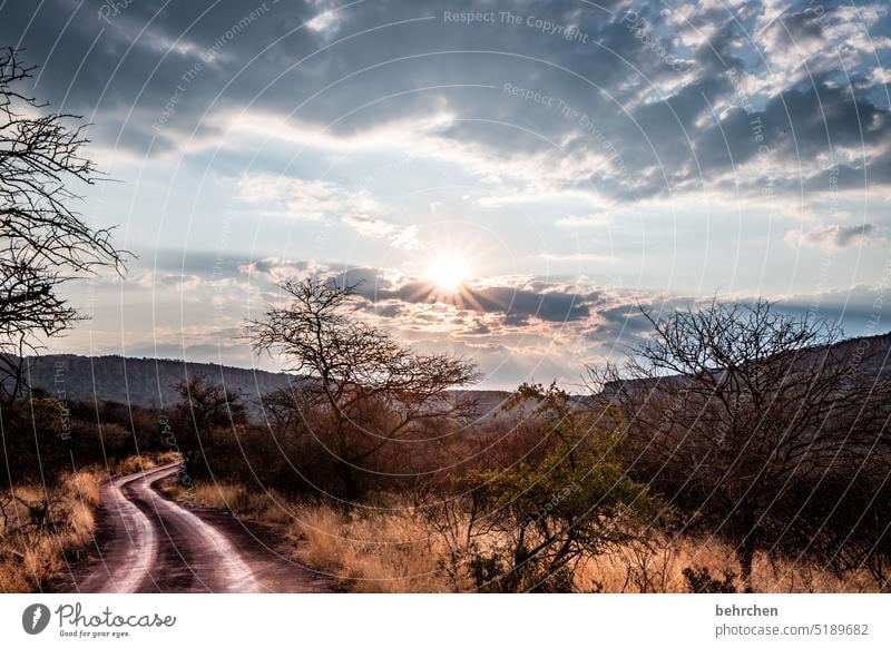 when evening comes Warmth Waterberg Africa Namibia Landscape Far-off places Wanderlust Vacation & Travel especially Nature Gorgeous Sky Adventure Lanes & trails