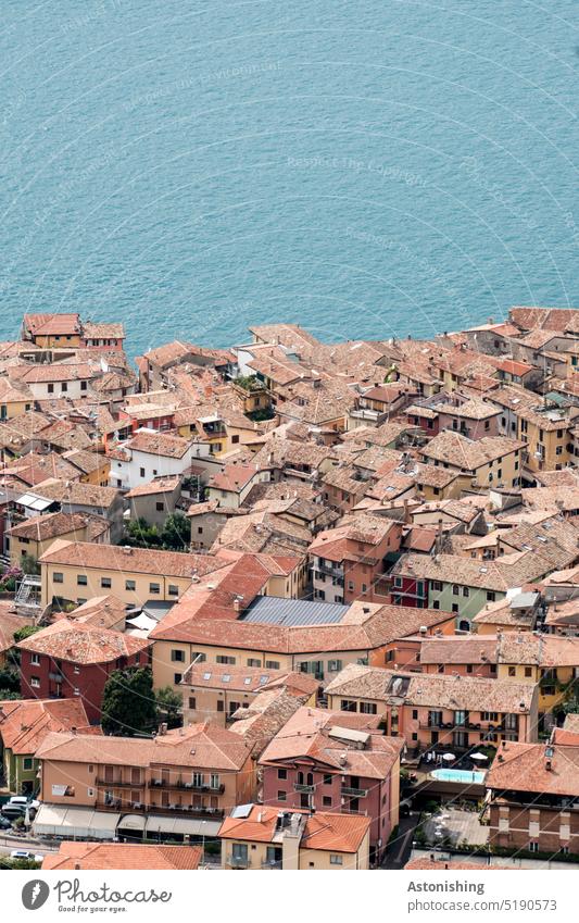 Block on the roofs of Malcesine Lake Garda Vantage point Landscape Nature Roof Water Large bank Town Klainstadt Italy Above Under Blue Red Colour photo
