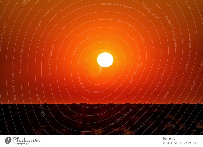 point Sky Warmth Gorgeous especially Nature magical Africa Far-off places Namibia Wanderlust etosha national park Etosha Evening Dusk Sunlight Dream Fantastic