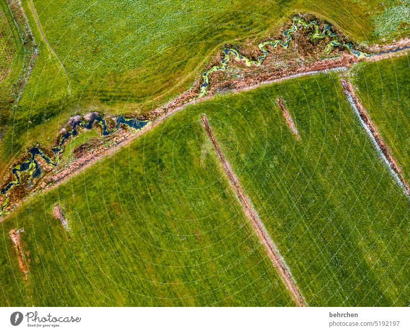 from above Riverbed from on high drone Bird's-eye view Tree Landscape Green acre Field Tracks fields