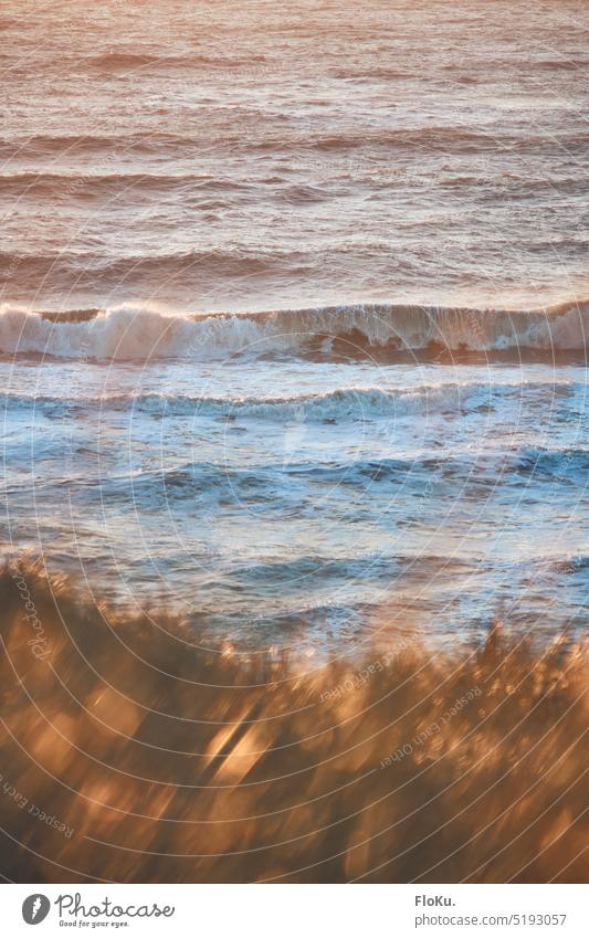 View of the surf from the dunes North Sea Surf North Sea coast wave Ocean ocean Beach White crest Waves Nature Water Vacation & Travel Exterior shot Horizon