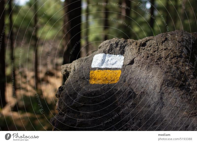 Hiking trail in Tenerife hiking trail hiking mark Hiking in Tenerife trekking outdoor hike wanderlust hikers Hiking trip Canaries path marking hiking route