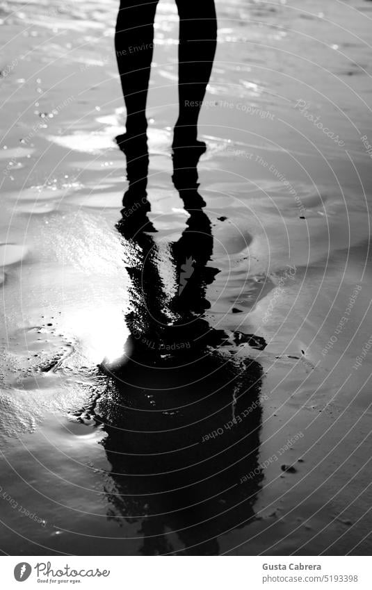 Backlit reflection of person's legs on the water. mirroring backlighting beach sea ocean Vacation & Travel vacation Relaxation Tourism coast conceptual