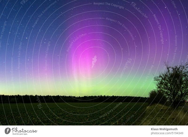 27.02.2023 Northern lights over the forest in Salow. Red and green tones shining against the starry sky and offer a magical sight. In the foreground a rapeseed field.