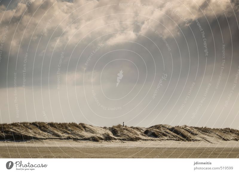 solitary Human being Feminine Young woman Youth (Young adults) 1 Environment Nature Landscape Sand Sky Clouds Grass Marram grass Beach North Sea Dune