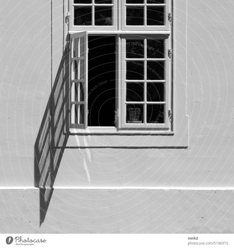flapping Window Open open window wing House (Residential Structure) Building baroque castle Deserted Exterior shot Facade Black & white photo Detail