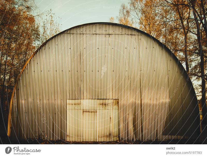 Round building Tin Corrugated sheet iron Village cinema Former Past abandoned Long shot Glittering Exterior shot Metal Structures and shapes Old Simple Pattern