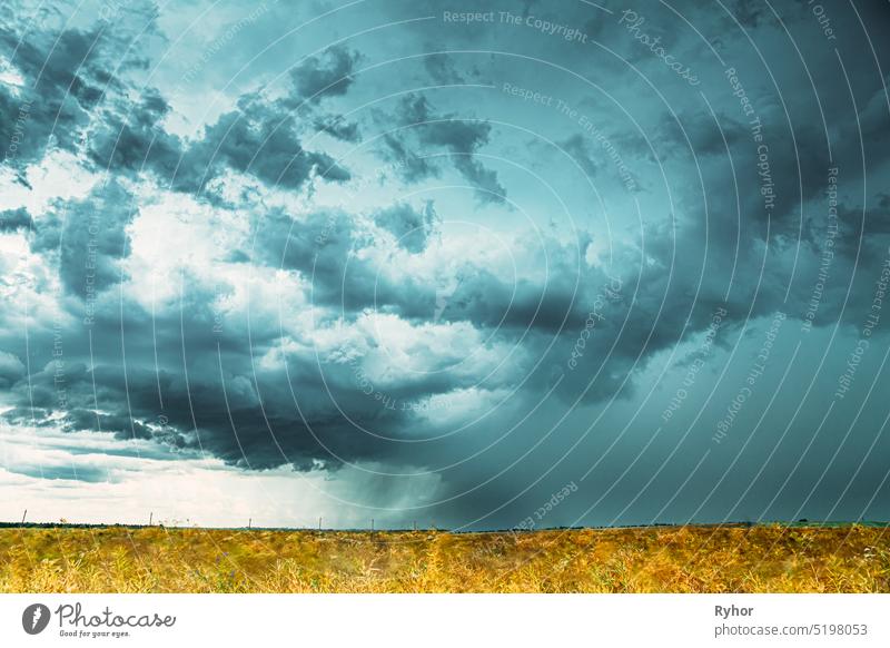 Dramatic Rainy Sky With Rain Clouds On Horizon Above Rural Landscape Field. Agricultural And Weather Forecast Concept. White Mustard Field. agriculture