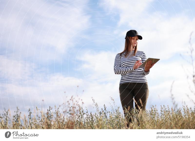 Modern technologies in agriculture, business woman farmer with computer tablet in her hands works in wheat field, checks grain harvest. Agriculture, growing food. Healthy ecological food