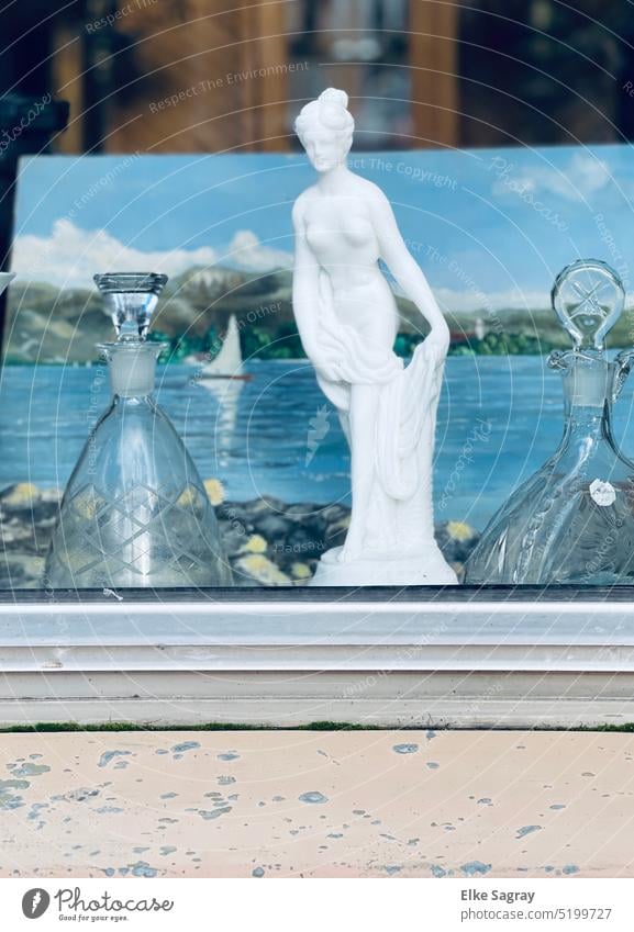 Morbid beauty in the shop window Shop window Window Exterior shot Reflection Deserted Slice Decoration Sculptures Colour photo