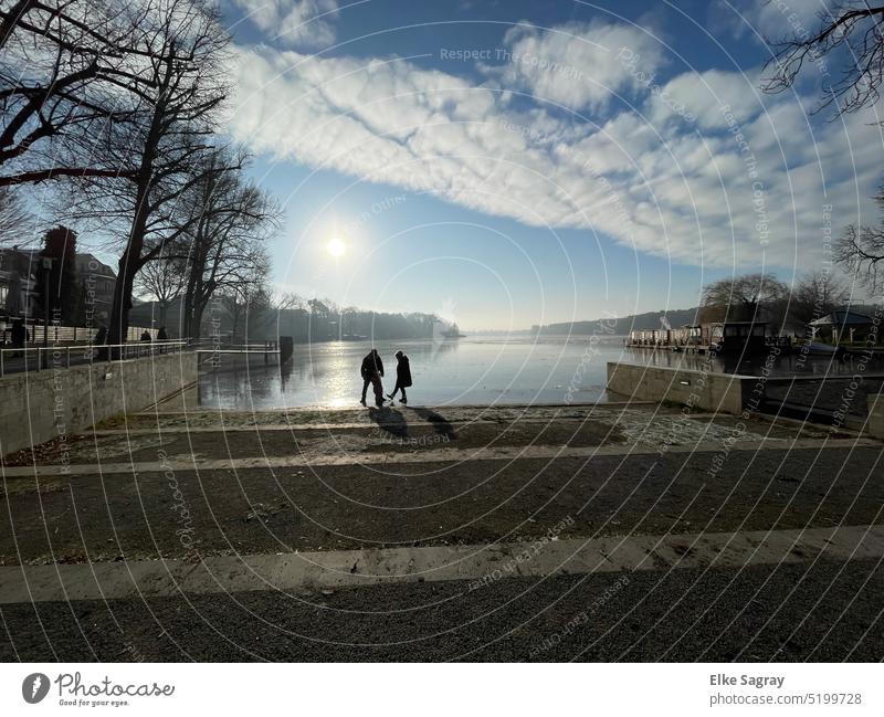 Sunny winter mood at the frozen lake - does the ice hold ? #Winter Cold Blue Frozen Freeze Ice crystal Crystal structure Frost Exterior shot Clouds Nature