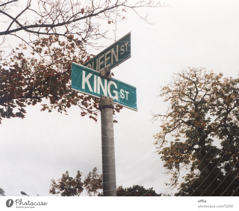 kings and queens Street sign Indian Summer Tree Leaf Signs and labeling niagara on the lake