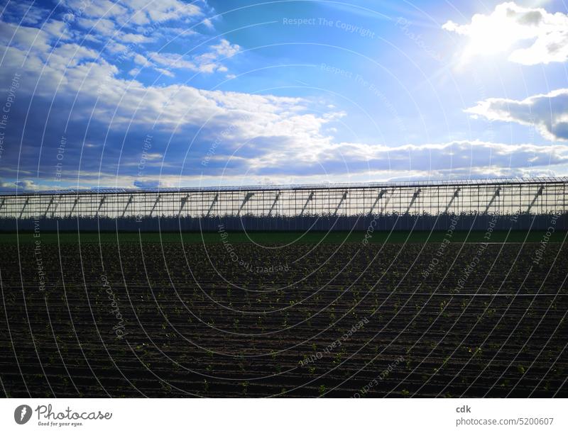 Vegetable growing area with planted field and huge greenhouses in the evening sun. Agriculture acre fields Earth Landscape Nature Field Greenhouse Large