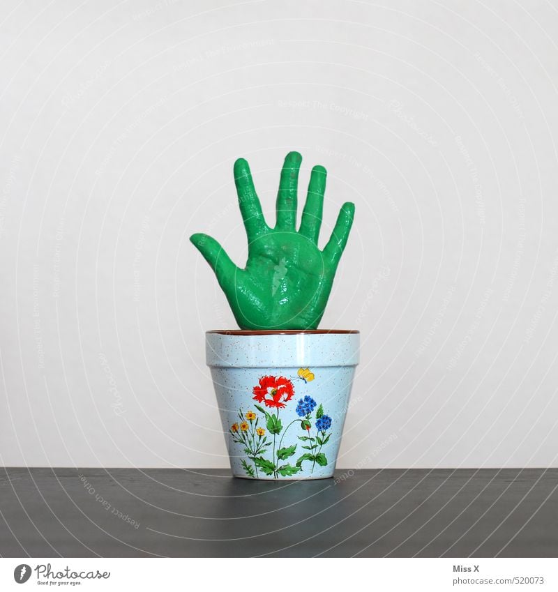 Green thumb, index finger, middle finger... Hand Fingers Plant Leaf Pot plant Exotic Growth Funny Bizarre Symbols and metaphors Flowerpot Gardener Houseplant