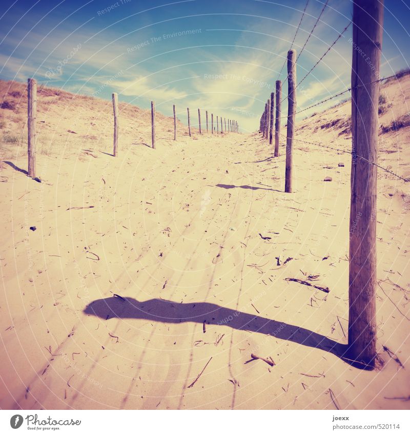 LIMITED FREEDOM Landscape Sand Sky Clouds Summer Beautiful weather Coast Dune Deserted Lanes & trails Wood Free Blue Brown Yellow Wanderlust Freedom Horizon