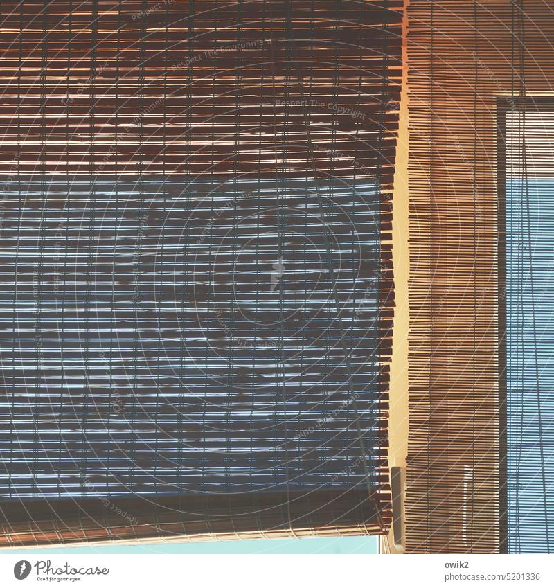 Move in bamboo roller blind Detail Colour photo Venetian blinds Window Long shot Slat blinds Structures and shapes Roller blind Pattern Screening slats