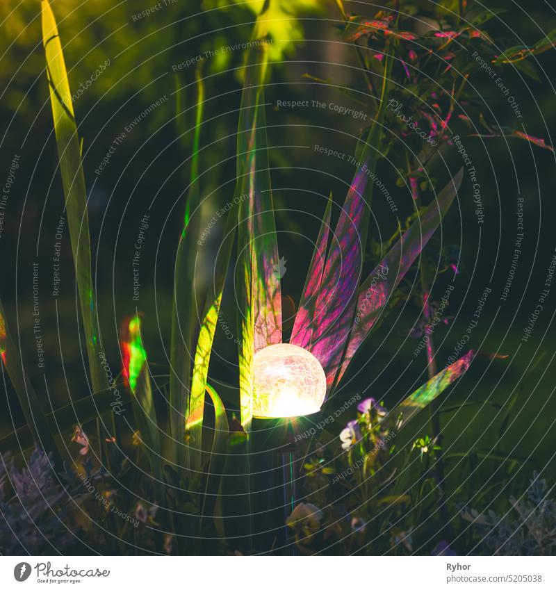 Night View Of Flowerbed Illuminated By Energy-Saving Solar Powered Colorful Multi-colored Lantern On Yard. Beautiful Small Garden With Purple And Yellow Lights, Lamp In Flower Bed. Garden Design