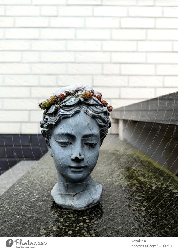 On my stoop in front of the house was a flowerpot in the shape of an ancient bust, planted with a succulent wearing a light cap of snow. Its face is crisscrossed with cracks and here and there something has already chipped off.