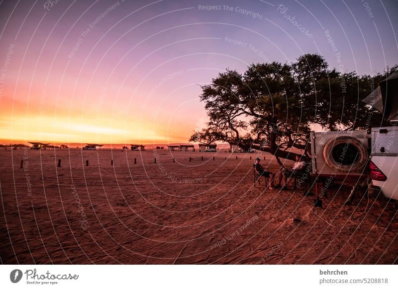 sunshine stories Sesriem Gorgeous Sky Far-off places Evening Twilight Sunset Dusk Tree Namibia travel Wanderlust especially Nature Landscape Tent roof tent