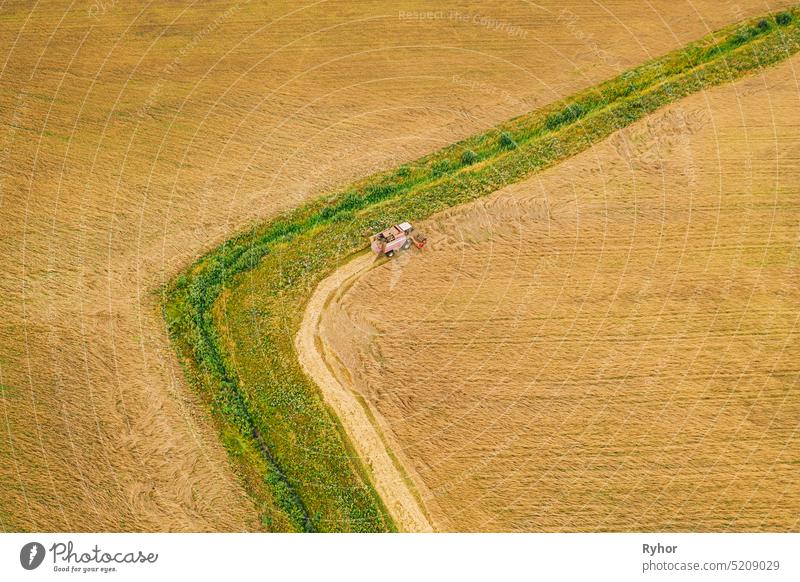 Aerial View Of Rural Landscape. Combine Harvester Working In Field, Collects Seeds. Harvesting Of Wheat In Late Summer. Agricultural Machine Collecting Golden Ripe. Bird's-eye Drone View