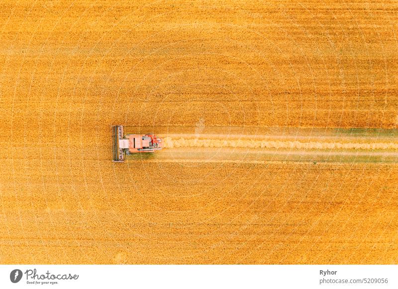 Aerial View Combine Harvester Working In Field. Harvesting Of Wheat In Summer Season. Agricultural Machines Collecting Wheat Seeds aerial aerial view
