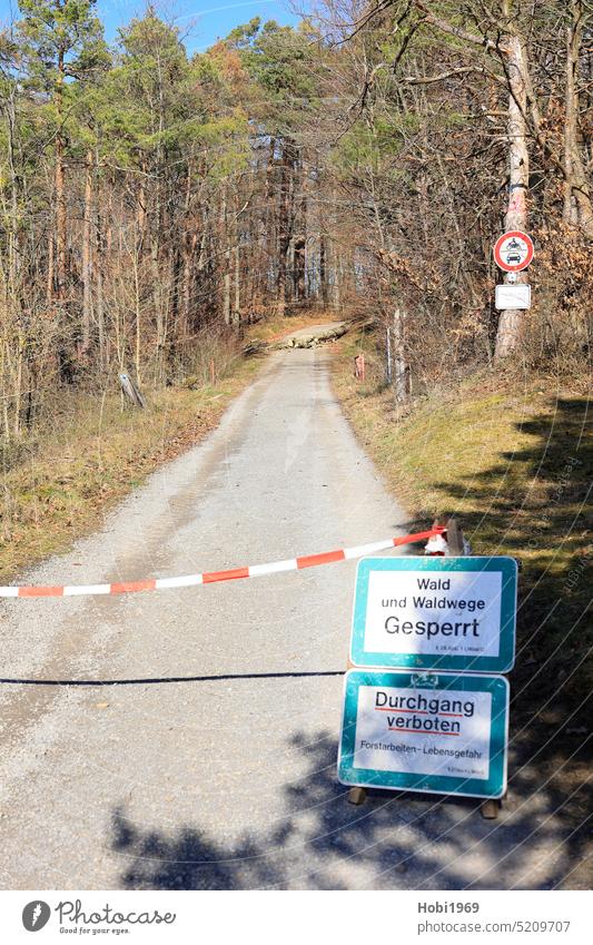 Forest road is closed for pedestrians by traffic signs and barrier tape forest path Road sign block cordon Barred Lumberjack Working man Tree off