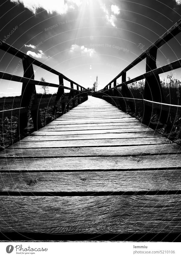 Backlit footbridge Footbridge Water Lake Summer Wood Relaxation Sky Calm Clouds Exterior shot Back-light Backlight shot Lakeside Nature reed Common Reed