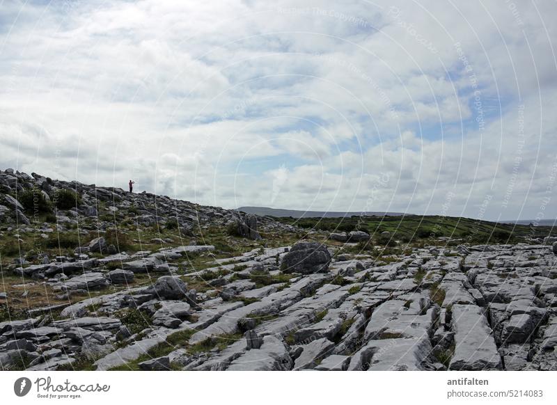 Burren, Ireland 08.2018 Landscape Nature coast Rock Exterior shot Day Clouds Sky Copy Space top Colour photo wide karst landscape National Park wildlife