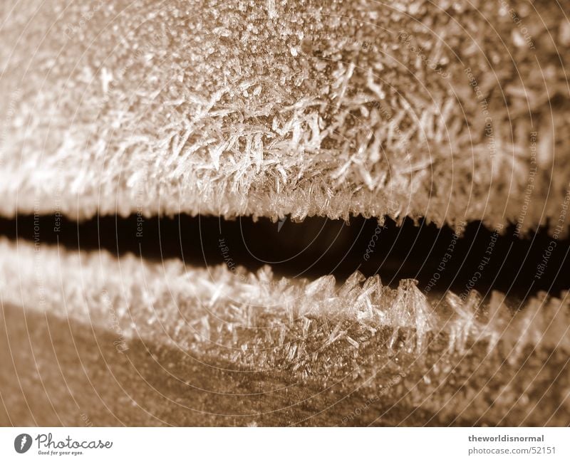 Cold! Winter ice crystals on wood