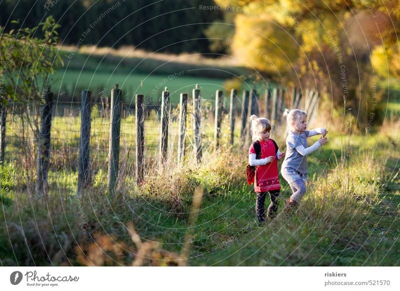 last colourful autumn day Feminine Girl Brothers and sisters Sister Infancy 2 Human being 3 - 8 years Child Environment Nature Landscape Autumn