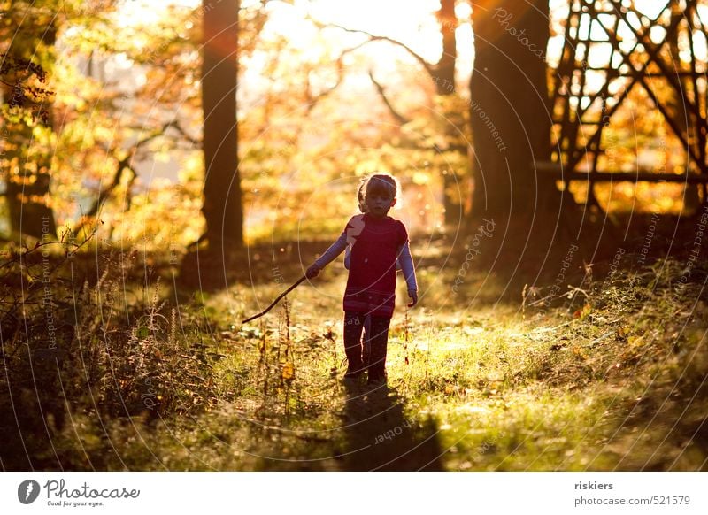 and enjoy the moment Human being Child Girl Brothers and sisters Sister Infancy 2 3 - 8 years Nature Landscape Sunrise Sunset Sunlight Autumn Beautiful weather