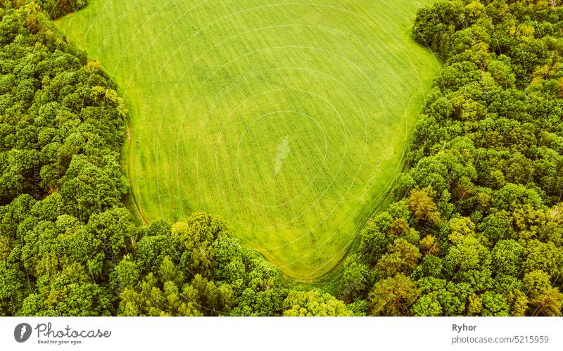 Aerial View Spring Green Field And Forest Landscape. Top View Of Field And Forest Belt. Bird's Eye View country trees agriculture view land cultural landscape