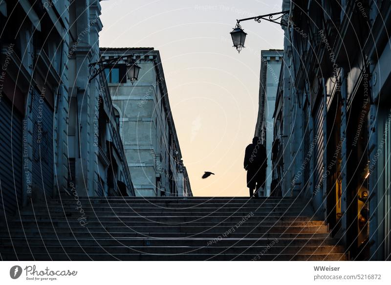 A famous Venetian bridge at dawn, only a man and a bird are already on the way now Venice Old Bridge Historic romantic early Morning Passer-by Human being