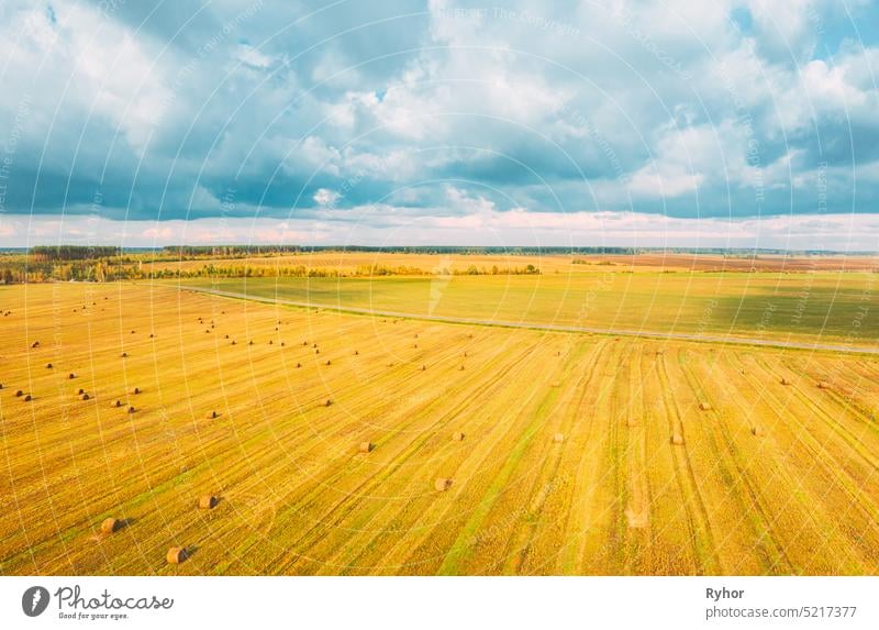 Aerial View Of Autumn Hay Rolls Straw Field Landscape. Haystacks, Hay Rolls. Harvest Season Dry aerial aerial view agricultural agriculture backdrop bale