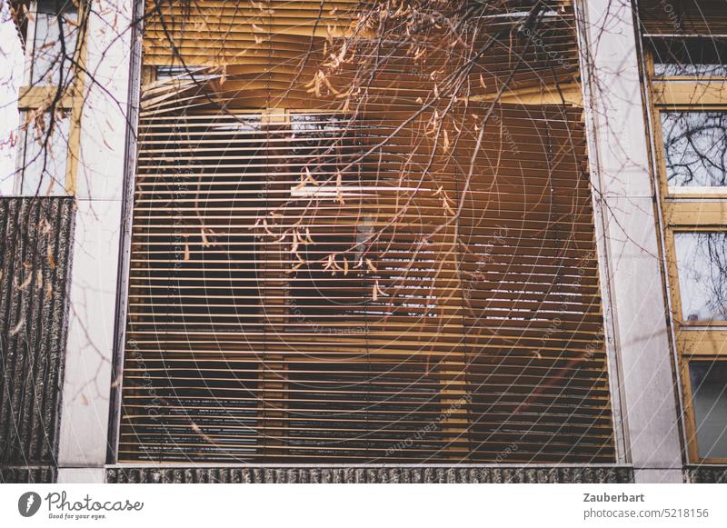 Bent slats of a blind form irritating lines, in front of modern facade with dry branches, on top of that golden light, reflections and plunging lines, well.